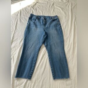 American Eagle Outfitters Classic Blue Straight Jeans Dream Stretch